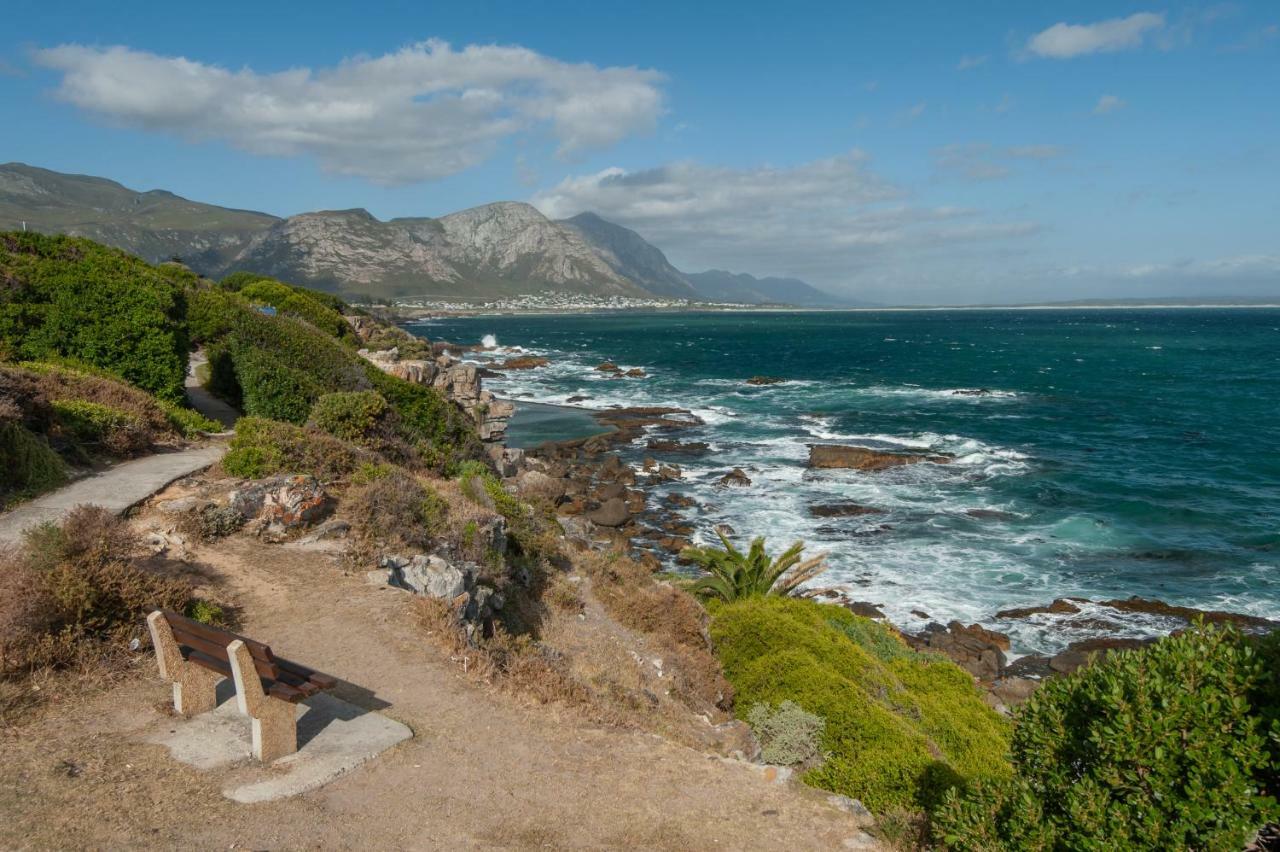 The Sun,Whales And Waves Seafront Apartment Hermanus Exterior photo