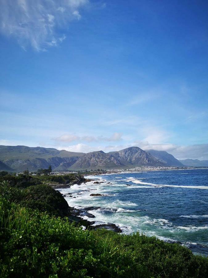 The Sun,Whales And Waves Seafront Apartment Hermanus Exterior photo